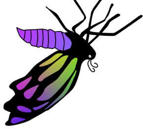 Butterfly (1)